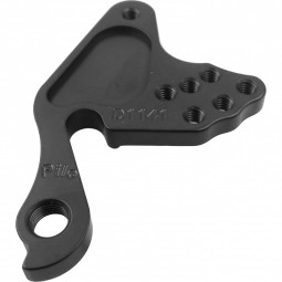 Patte de dérailleur D1141 WHYTE - DROPWH19