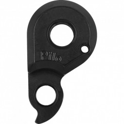 D1193 Derailleur hanger