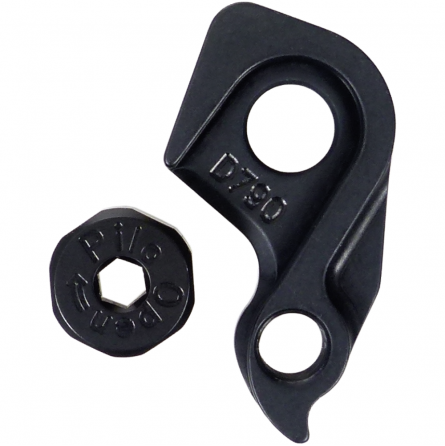 D790 ROCKY MOUNTAIN derailleur hanger
