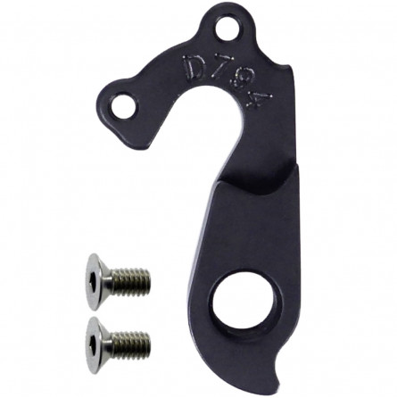D794 derailleur hanger
