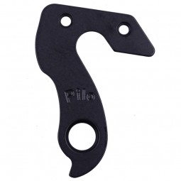 D1198 Derailleur Hanger