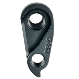 D989 Derailleur hanger