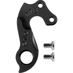 D78 Derailleur Hanger