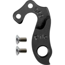 D69 Derailleur Hanger