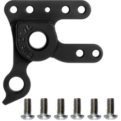 D176 derailleur hanger