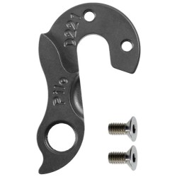 D221 Derailleur hanger
