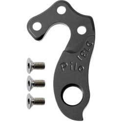 D131 Derailleur hanger