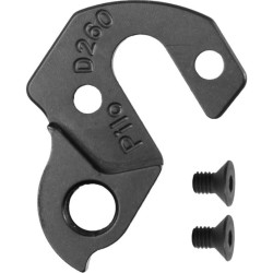 Patte de dérailleur D260 GT
