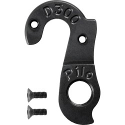 D300 Derailleur hanger EDDY MERCKX