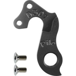 D301 Derailleur Hanger
