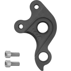 D1478 Derailleur Hanger T-LAB