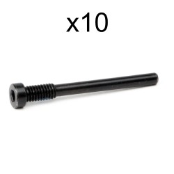 ELVEDES Vis de Fixation de Plaquettes Hayes - M4x36mm (x10)