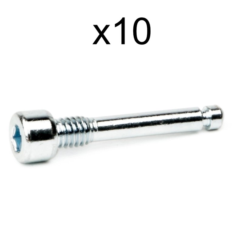 ELVEDES Vis de Fixation de Plaquettes Sram/Avid - M4x22mm (x10)