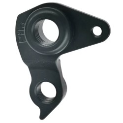 D878 Derailleur hanger