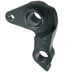D878 Derailleur hanger
