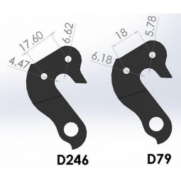 D79 derailleur hanger