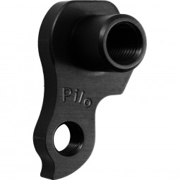 D670 derailleur hanger EVIL