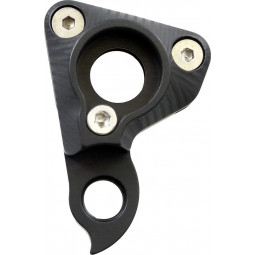 D567 derailleur hanger