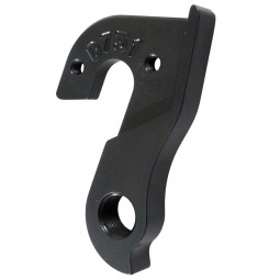 D731 derailleur hanger