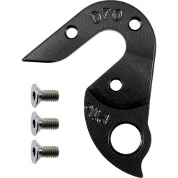 D70 derailleur hanger