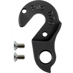 D76 derailleur hanger