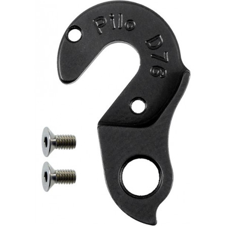 D76 derailleur hanger