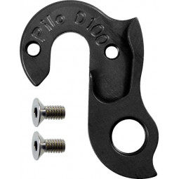 D100 derailleur hanger
