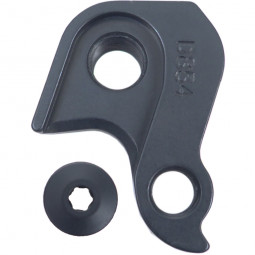 D854 Derailleur hanger - 04-20894