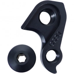 D855 Derailleur hanger