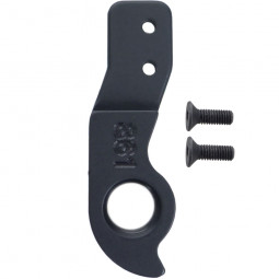 D861 derailleur hanger