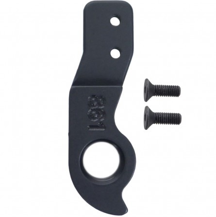 D861 derailleur hanger