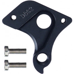 D862 derailleur hanger
