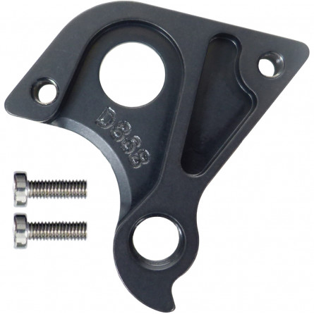 D868 derailleur hanger