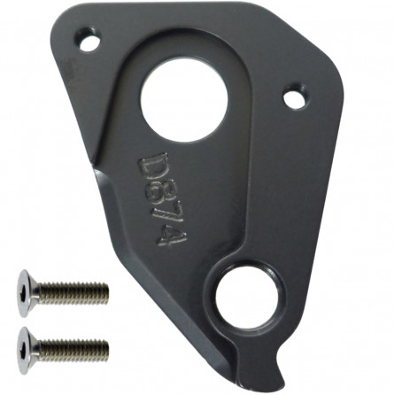 D874 Derailleur hanger