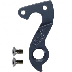 D881 Derailleur hanger