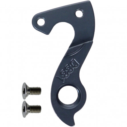 D881 Derailleur hanger