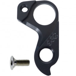 D896 derailleur hanger