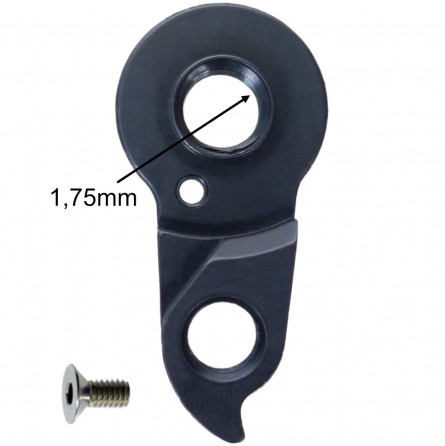 D901 derailleur hanger