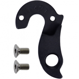 D421 derailleur hanger