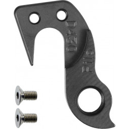 D430 derailleur hanger