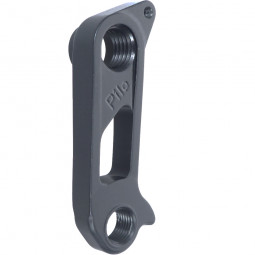 D856 Derailleur hanger