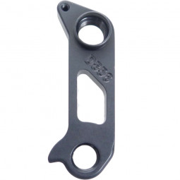 D856 Derailleur hanger