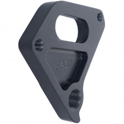 D857 Derailleur hanger