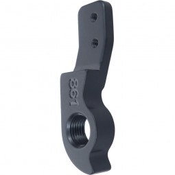 D861 derailleur hanger