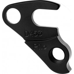D453 derailleur hanger