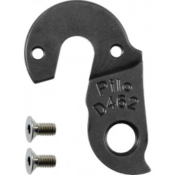 D462 derailleur hanger