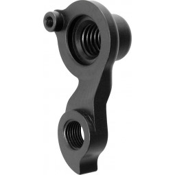 D547 Derailleur hanger