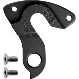 D551 derailleur hanger