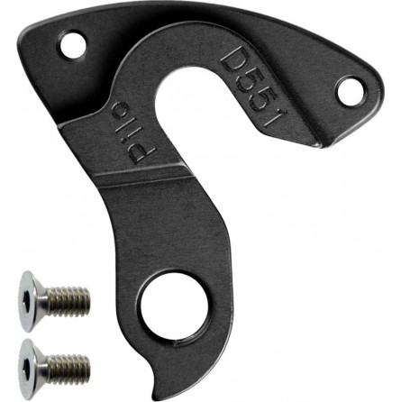D551 derailleur hanger