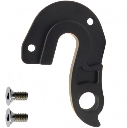 D1049 Derailleur hanger